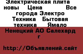 Электрическая плита,  новы  › Цена ­ 4 000 - Все города Электро-Техника » Бытовая техника   . Ямало-Ненецкий АО,Салехард г.